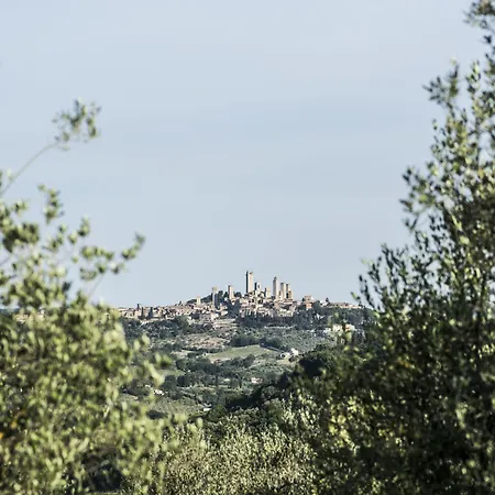 Tenuta Croce Di Bibbiano *