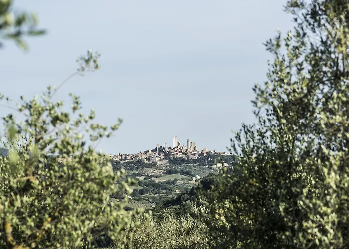 Tenuta Croce Di Bibbiano *