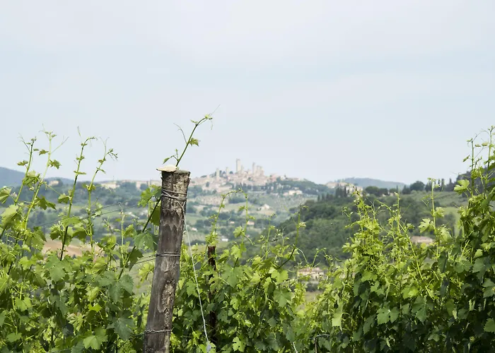 Tenuta Croce Di Bibbiano