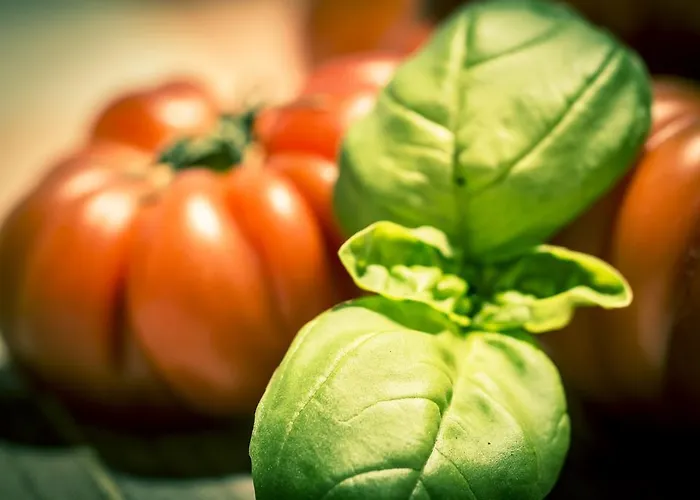 Фермерский дом Tenuta Croce Di Bibbiano Libbiano (Siena)