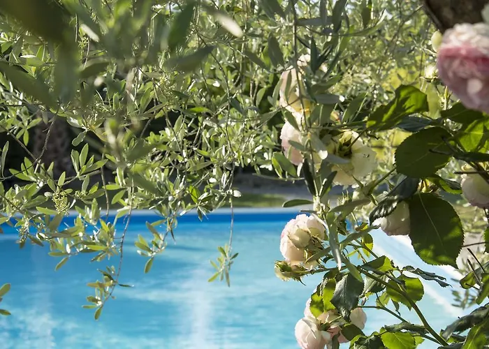 Фермерский дом Tenuta Croce Di Bibbiano *